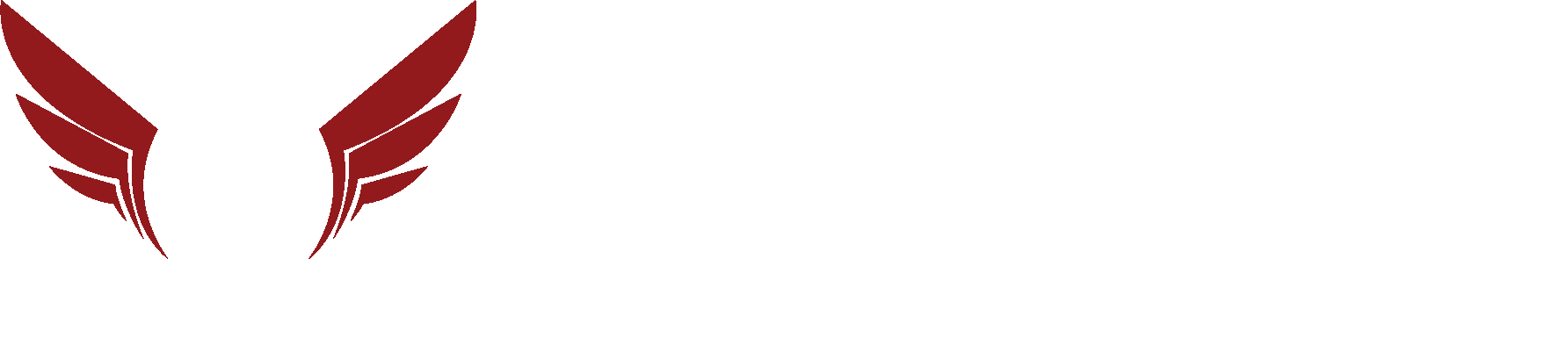 Berila Fahrzeugtechnik White Logo